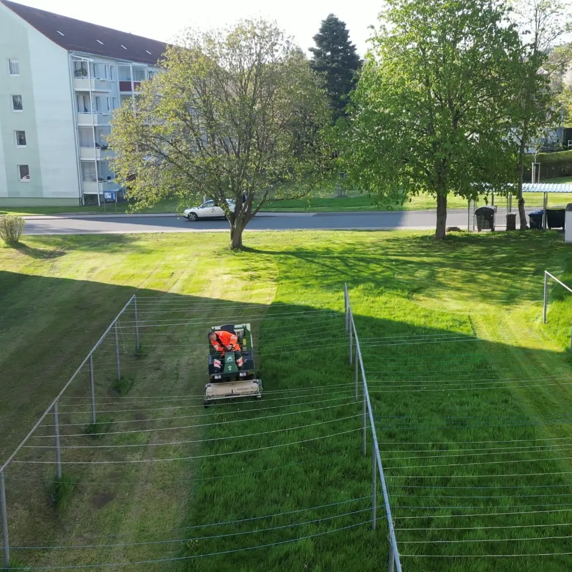 Ilmenauer Gebäudedienste GmbH Rasenmähnen Hausmeister Ilmenau